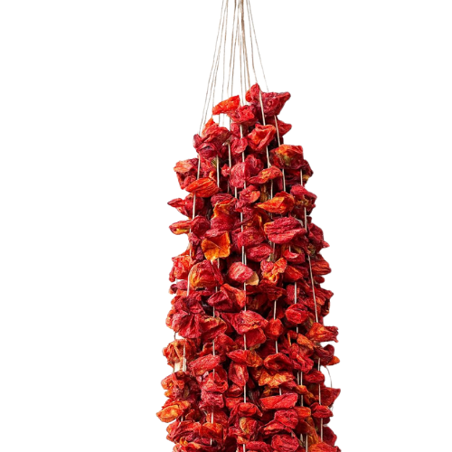 Kurutulmuş Sebzeler